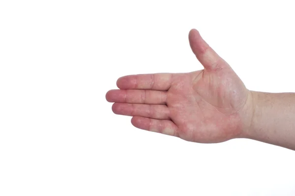 Hand isolated on the white background — Stock Photo, Image