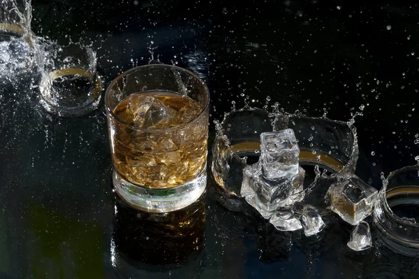 Świeże whisky — Zdjęcie stockowe