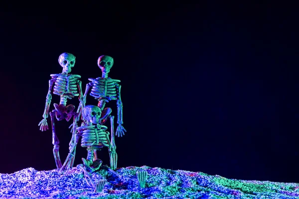 Halloween skeleton — Stock Photo, Image