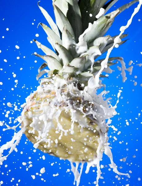Ananas met melk — Stockfoto