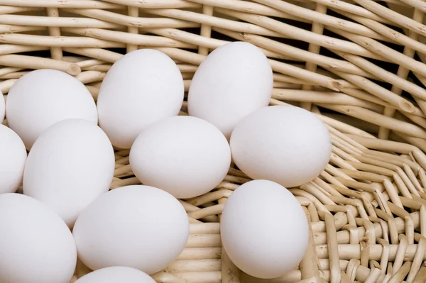 stock image Eggs