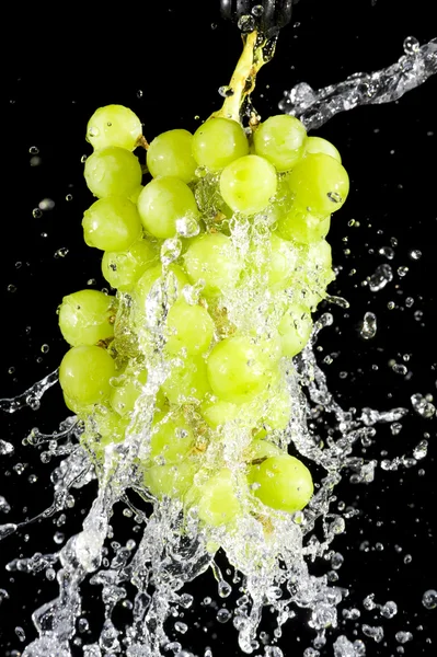 stock image Grapes