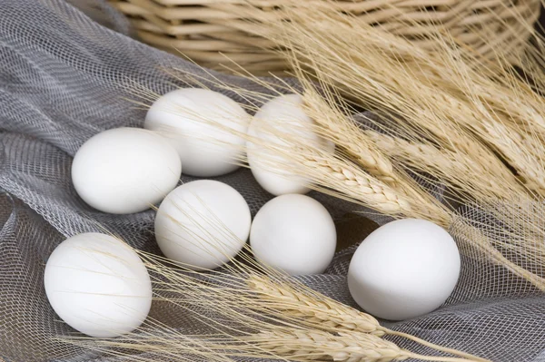 stock image Eggs