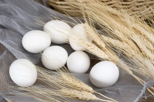 Stock image Eggs