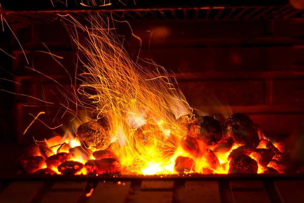 Šumivé barbecue — Stock fotografie