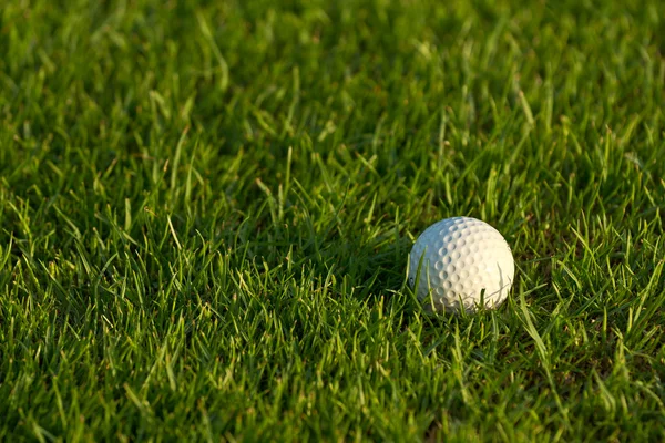 stock image Golf Ball