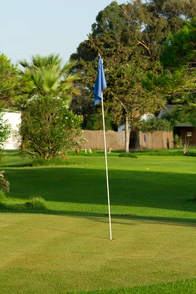 Golf Green — Stock Photo, Image
