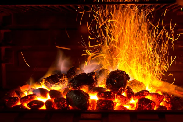 Barbecue pétillant — Photo