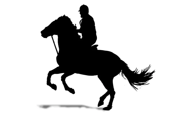 Rider silhouette — Stock Photo, Image