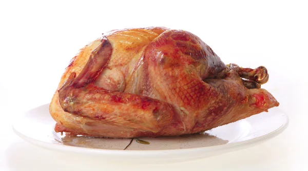 Roast turkey on a plate — Stock Photo, Image