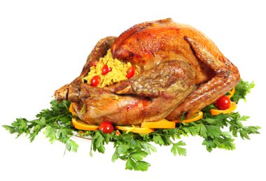 Festive turkey side view isolated clipart