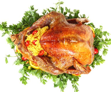 Roast turkey from above clipart