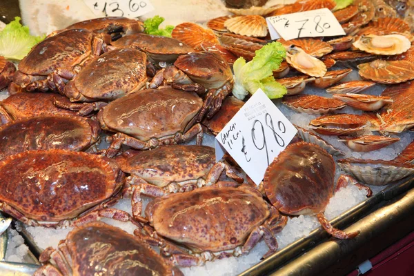 stock image Crab at the Rialto