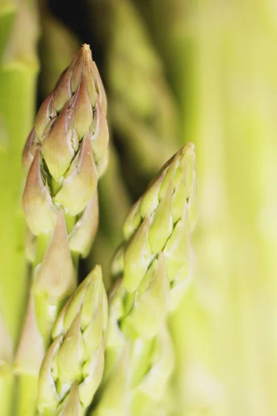 Asparagus spears macro — Stock Photo, Image
