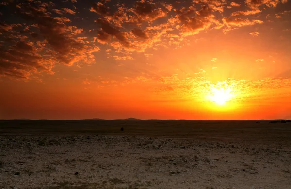 stock image Qatar desert sunset