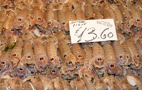 Adriatic prawns in Venice — Stock Photo, Image