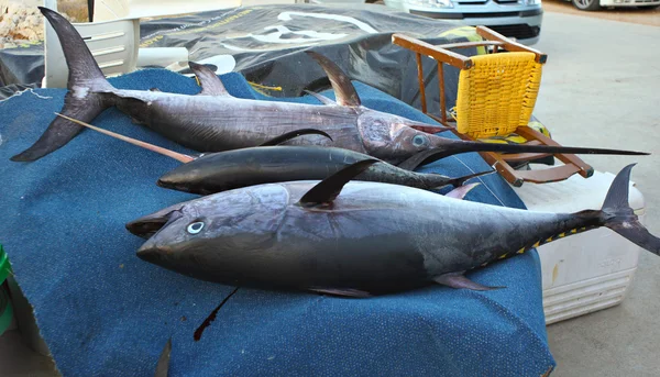 Tuna and swordfish in Crete — Stock Photo, Image