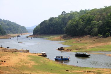 periyar lake, kerala, Hindistan