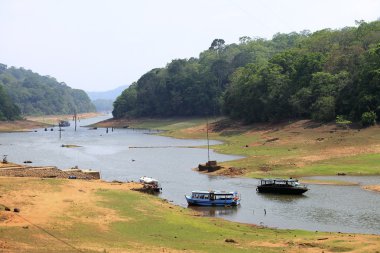 Periyar Lake, Kerala, India clipart