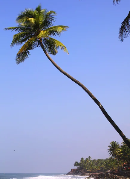 stock image Tropical paradise