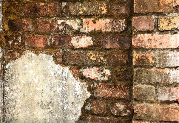 Stock image Old brick wall with copyspace