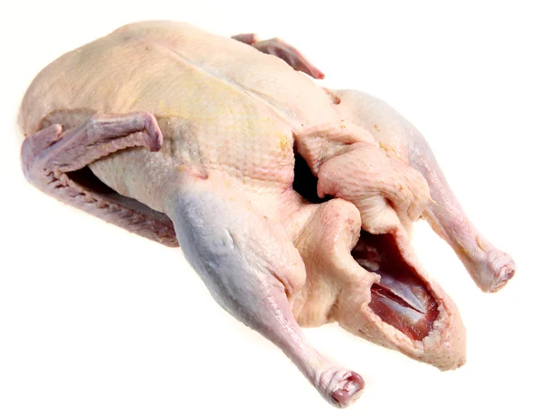 Syrové kachna izolovaných na bílém — Stock fotografie