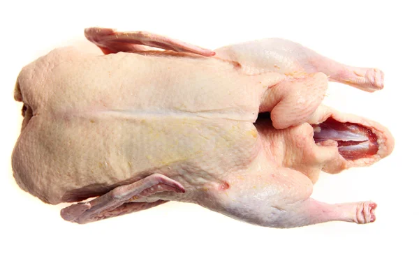 Oven ready duck from above — Stock Photo, Image