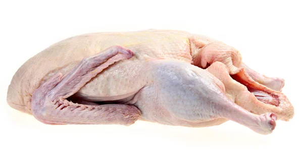Syrové kachna izolovaných na bílém — Stock fotografie