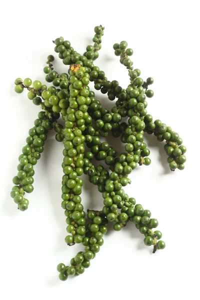 Зеленый перец вертикальный — стоковое фото