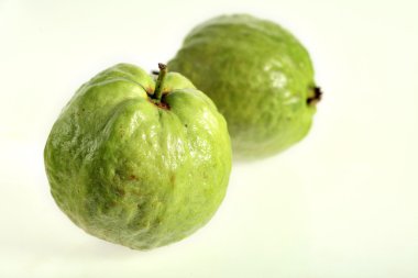 Two guava fruits clipart