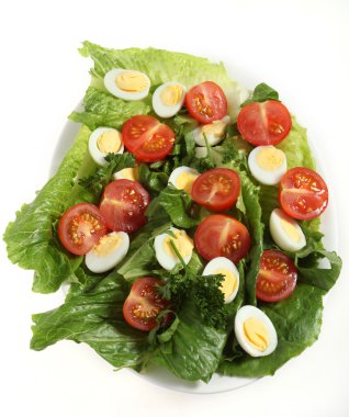 Quail egg salad clipart