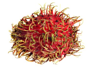 Rambutan macro clipart