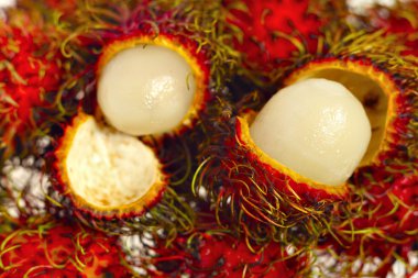 rambutans açıldı