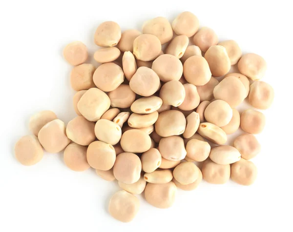Thermos beans seen from above — Stock Photo, Image