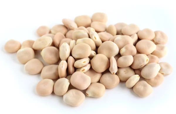 Thermos beans on white — Stock Photo, Image