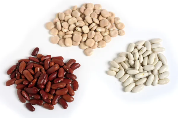 Different beans — Stock Photo, Image