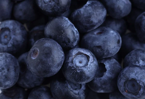 stock image Blueberries macro