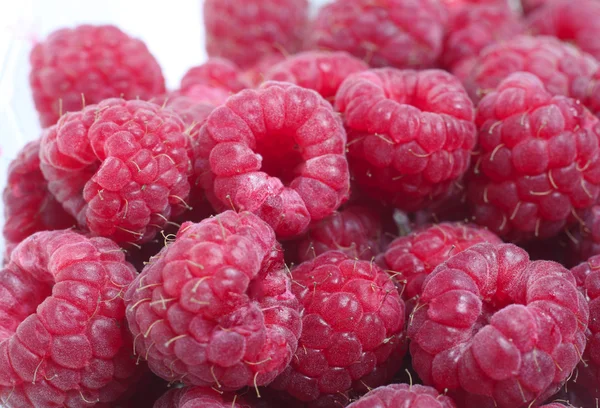 Raspberries macro — Stock Photo, Image
