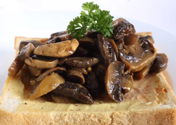 Funghi sul pane tostato — Foto Stock