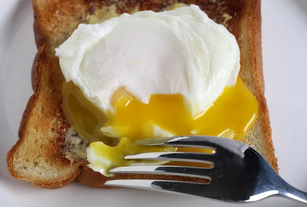 Poached egg close-up — Stock Photo, Image