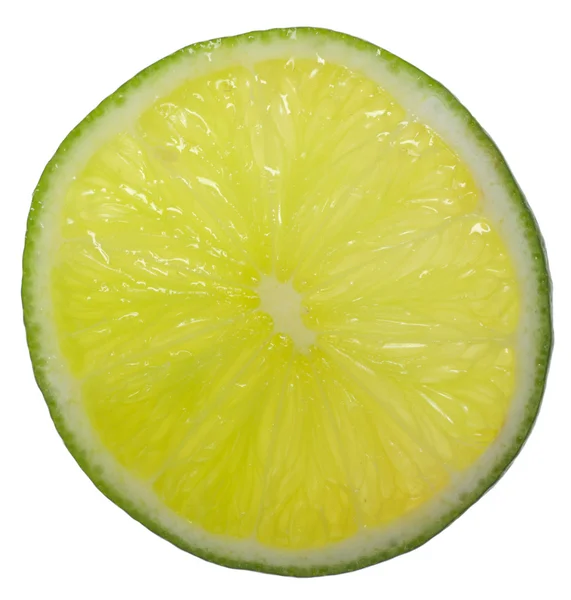 Plasterek limonki podświetlany — Zdjęcie stockowe