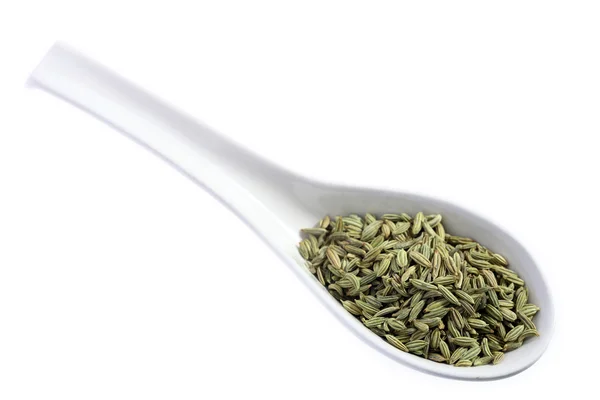 Fennel seeds on a spoon — Stock Photo, Image