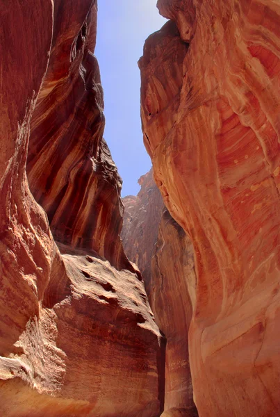 Siq path slot canyon Petra — Stock Photo, Image