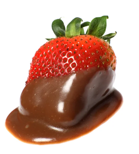 Chocolate coated strawberry — Stock Photo, Image
