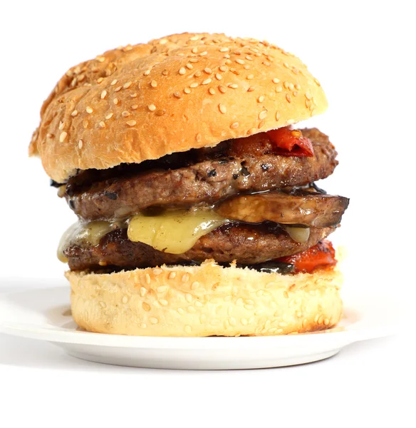 stock image Mushroom burger with tomato and cheese