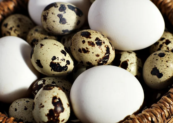 籠の中の卵 — ストック写真