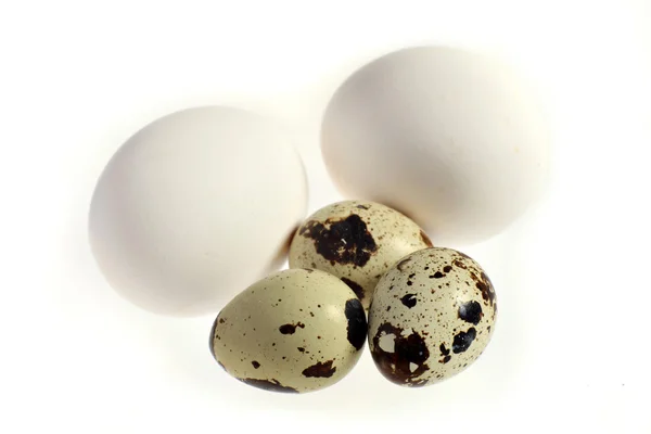 Codornices y huevos de gallina — Foto de Stock