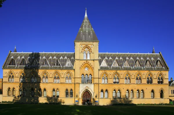 オックスフォード大学自然史博物館 — ストック写真