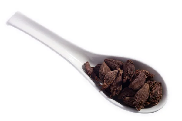 Black cardamom on a spoon — Stock Photo, Image