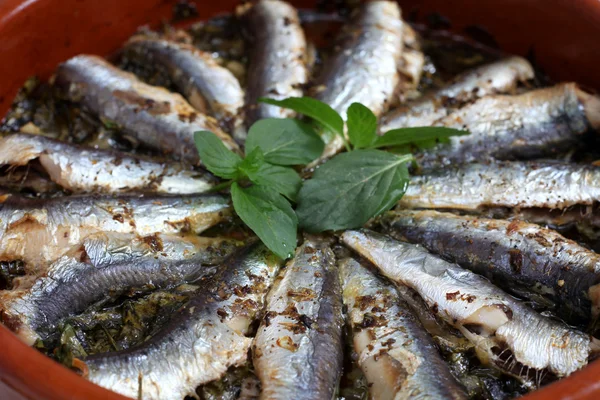 Sardines baked in a terracotta bowl — Stock Photo, Image